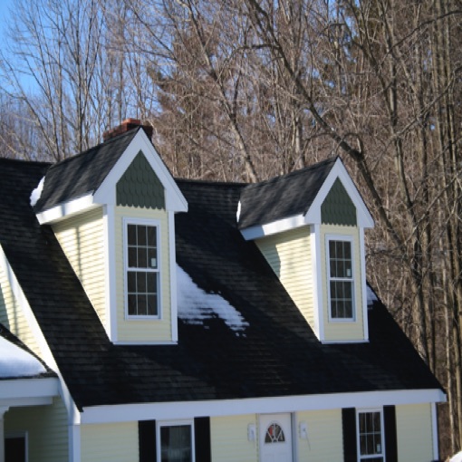 Roofing, Dormers, Siding
Windows, Exterior painting